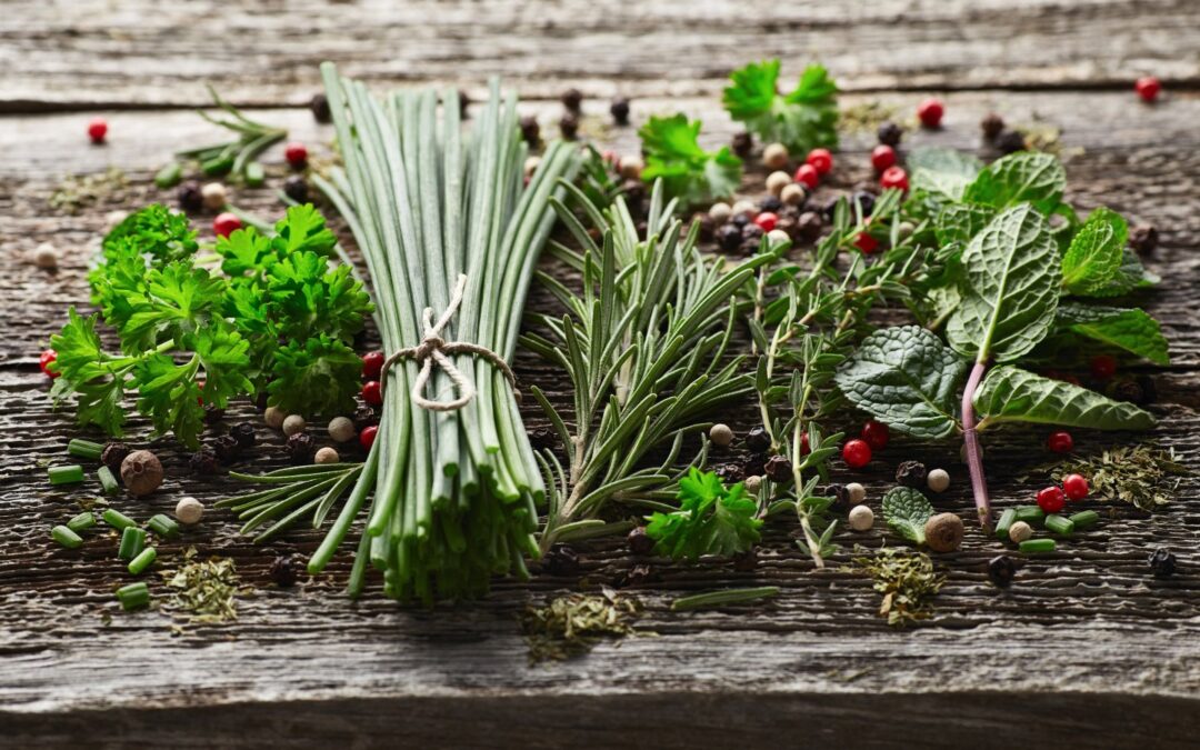 Zioła: Właściwości, zastosowanie i hodowla